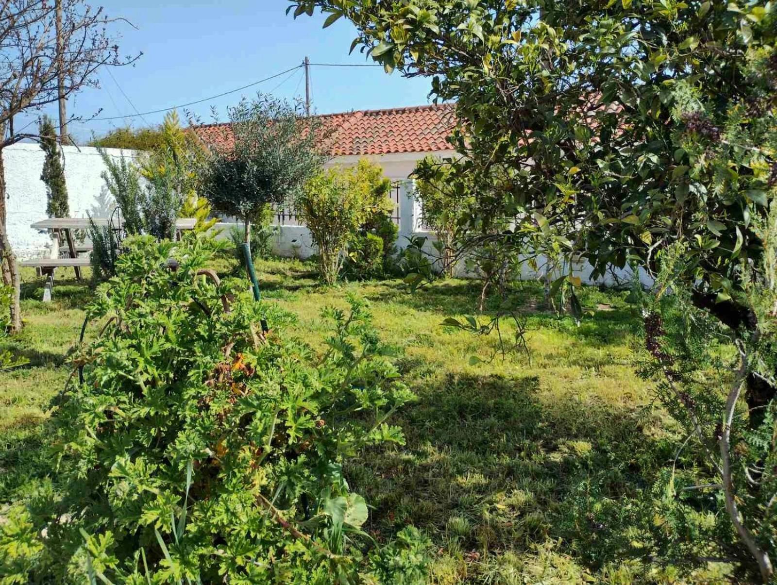Nafplio Cottage-Grandma'S Yard Asíni Extérieur photo
